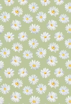 a green background with white daisies and yellow centers on the bottom half of the image