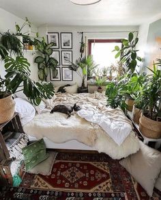 a bedroom with plants and rugs on the floor