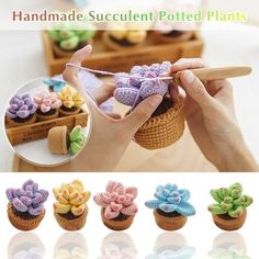 the handmade succulent potted plants are in different colors