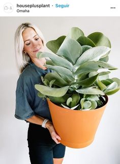 a woman holding a large potted plant in her hands