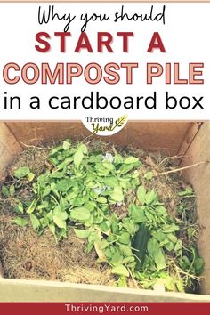 a cardboard box filled with composting materials and the words why you should start a compost pile in a cardboard box