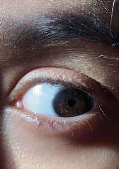 an eye looking at the camera with its reflection in it's iris lens, close up