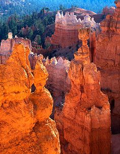 an aerial view of the hoodoos and trees in the distance at sunset, with mountains in the background