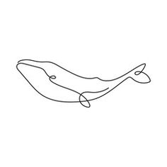 a single line drawing of a whale