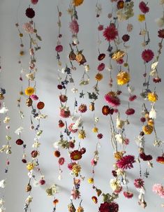 dried flowers hanging from the ceiling in a room