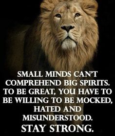 a lion with the quote small minds can't compreed big spirits to be great you have to be