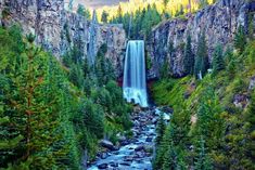 a waterfall is surrounded by trees and rocks