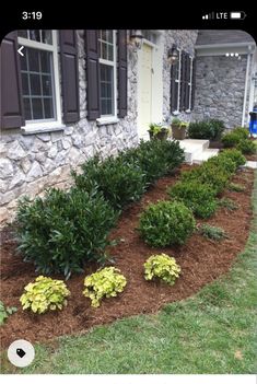 some bushes and flowers in front of a house