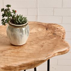 a potted plant sitting on top of a wooden table