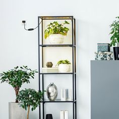 a shelf with plants and books on it in a living room next to a fireplace