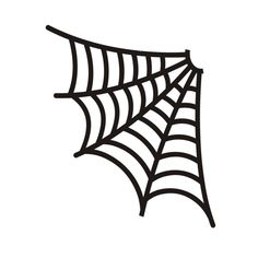 a spider web on a white background