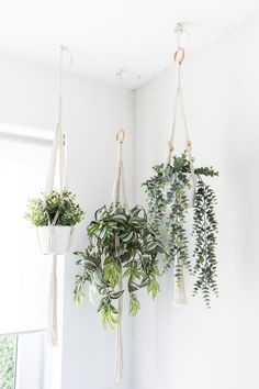 three hanging planters with plants in them