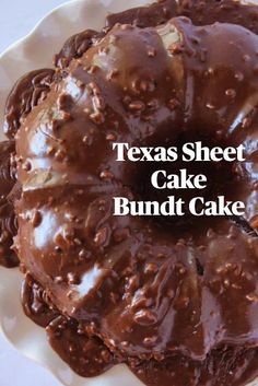 a chocolate bundt cake on a plate with the words texas sheet cake bundt cake