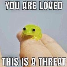 a hand holding a small green frog with the caption you are loved this is a threat