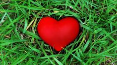 a red heart laying in the grass