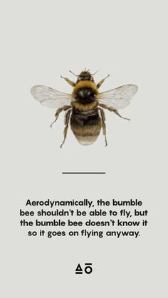 a bee with the caption above it that says, aerodynnatically, the bumble bee shouldn't be able to fly, but the bumble doesn't know