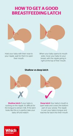 how to get a good breastfeeding latch on your baby's breast info