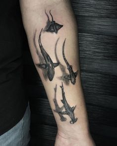 Hammerhead Tattoo, Shark Tooth Tattoo, Animal Tattoos For Men, Tooth Tattoo, Ray Tattoo, Shadow Tattoo, Dove Tattoos, Simple Tattoos For Guys