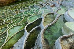 the water is very green and there are many different patterns on it's surface