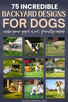 an advertisement for backyard designs for dogs