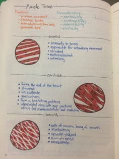 an open notebook with four different types of circles and lines on the inside of it