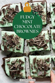 fudge mint chocolate brownies with green frosting