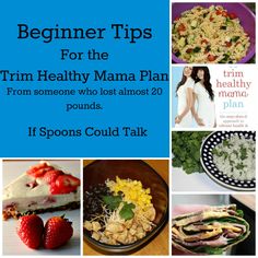 Trim Healthy Mama Tips for Beginners – If Spoons Could Talk Trim Healthy Mama Diet, Trim Healthy Mama Plan, Trim Healthy Momma, Fitness Recipes, Trim Healthy Mama Recipes, Mama Recipe, Healthy Diet Tips, Thm Recipes, Diet Vegetarian