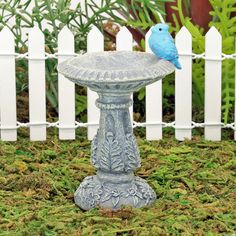 a blue bird sitting on top of a bird bath in front of a white picket fence