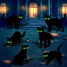 several black cats with glowing green eyes in front of a house at night, some pumpkins on the ground