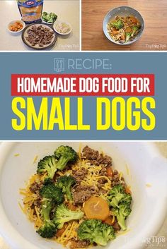 homemade dog food for small dogs with broccoli and carrots in the bowl