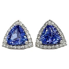 These stunning trillion AAA quality Tanzanite stud earrings are surrounded by shimmering diamonds. There is a double push lock for extra security. These earrings come in a beautiful box ready for the perfect gift! 14KW: 2.30 gms Tanz size: 8 mm, trillion Tanz wt: 2.91 cts Diam wt: 0.36 cts Diam stones: 42 round Free shipping within the US! Ships within 1-2 business days Retail value: $3,650 Tanzanite Studs, Tanzanite Diamond, Diamond Stud Earrings, Diamond Stud, Diamond Earrings Studs, Diamond Studs, Tanzania, Jewelry Earrings Studs, Diamond White