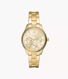 Fossil Watches Women, Fossil Watch, Fossil Watches, Rose Gold Case, Analog Watch, Women's Watch, Steel Watch, Stainless Steel Watch, Rye