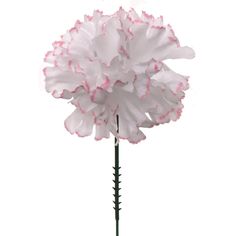 Elevate your decor with the elegant set of 30 White Pink 5" Carnation Artificial Flowers. Realistic, long-lasting, and 3.5" in diameter, perfect for home decor and wedding events. Discover their timeless beauty! Pink Carnations, Carnation Flower, Flowers White, Elegant Sets, Beautiful Centerpieces, Artificial Flower Arrangements, Floral Display, Color Blending, Pink Silk