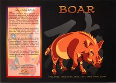 an image of a boar with the word boar on it's front and side