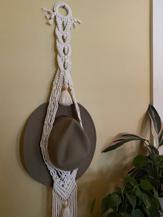 a hat hanging on the wall next to a potted plant with a tassel