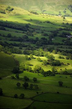 an aerial view of green rolling hills and trees