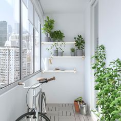 a bicycle parked in front of a window next to a potted plant on a ledge