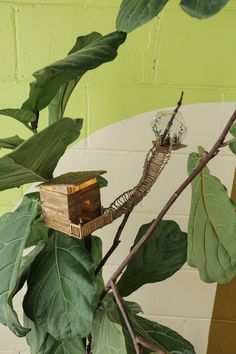 a bird house sitting on top of a tree branch