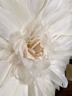 a large white flower sitting on top of a table