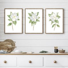 three white flowers with green leaves are hanging on the wall next to a chest of drawers