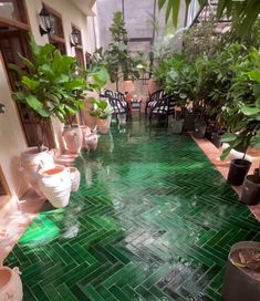 several potted plants are lined up on the floor in a room with green tiles