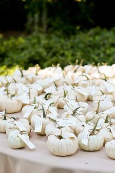 small white pumpkins are arranged on a table with price tags attached to the stems