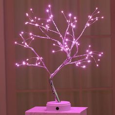 a lighted tree is sitting on top of a box