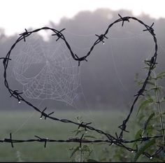 a heart - shaped spider web is attached to a barbed wire fence with the words parkplot on it