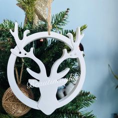 an ornament hanging from a christmas tree