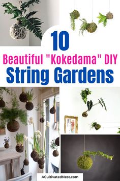 the top ten beautiful kokedama'd diy string gardens for your home