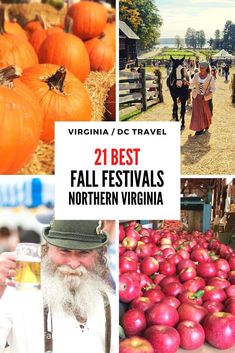 the best fall festivals in northern virginia