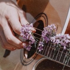 a person is playing an acoustic guitar with flowers in the foreground and on the back ground