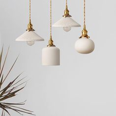 three white and gold hanging lights next to a plant in a vase on a table