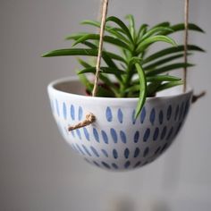 a potted plant hanging from a rope in a blue and white polka dot bowl